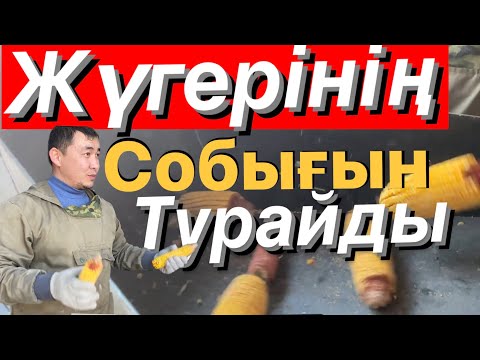 Видео: Жүгері собық качан турауға арналған әмбебап (универсал)2 в 1 дробилка