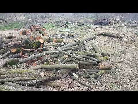 Видео: Дрова как заработок. горы денег которых нет. затраты, цены