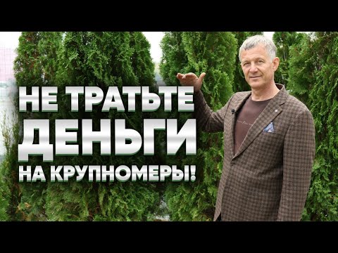 Видео: Почему не стоит покупать крупномеры? Секреты выбора растений для сада.