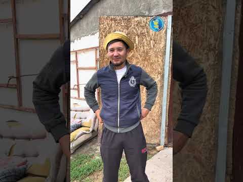 Видео: Атбегімен бір күн 🐎
