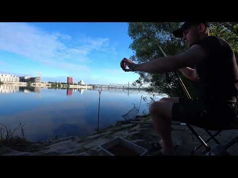 Видео: Рыбалка Киев Фидер.Утренний клёв! Фидерная рыбалка на Днепре в Киеве.