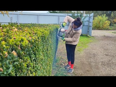 Видео: ПРОДАЛИ ДОМ/ РАДЫ НОВЫМ ЖИЛЬЦАМ 