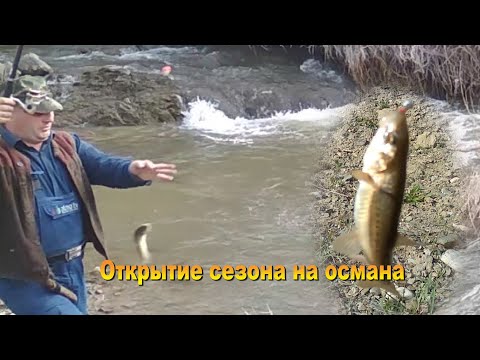 Видео: Как я ловлю османа. Открытие весеннего сезона на османа 11.-12.04.20