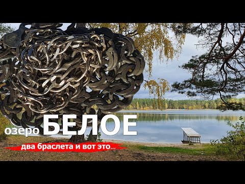 Видео: Подводный поиск с металлоискателем. Озеро Белое. Беларусь.