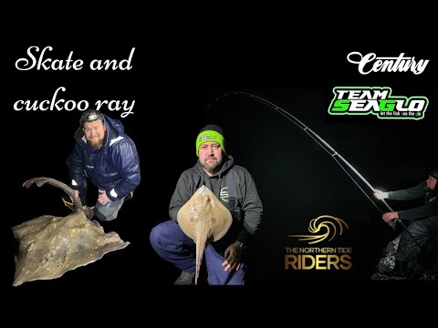 Видео: Огромная рыбалка на скатов и скатов-кукушек в Шотландии, Обан, поздний рождественский спецвыпуск ...