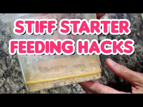 Видео: Кормление и смешивание закваски STIFF
