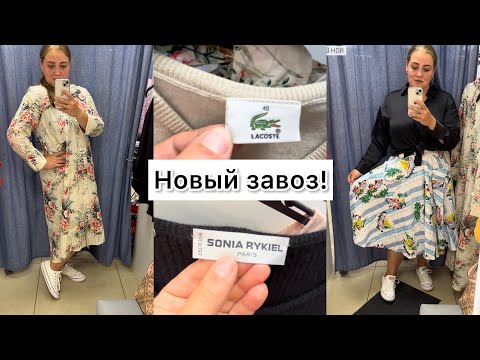 Видео: Шок! Первые минуты завоза в Секонд Хенде! Hugo Boss, Ralph Lauren, Lacoste, Sonia Rykiel, Nike!