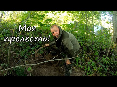 Видео: Металлокоп  вскруживший мне голову!