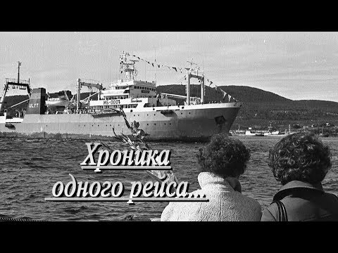 Видео: Хроника одного рейса