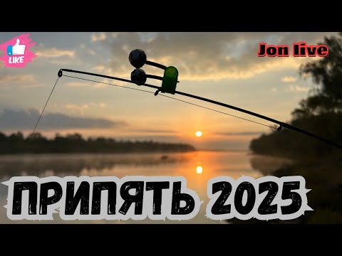 Видео: ЭТО ЛУЧШАЯ РЫБАЛКА | Лещи не дают покоя | Рыбалка На Реке ПРИПЯТЬ