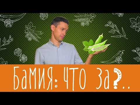 Видео: Бамия - что это? Фрукт или овощ?