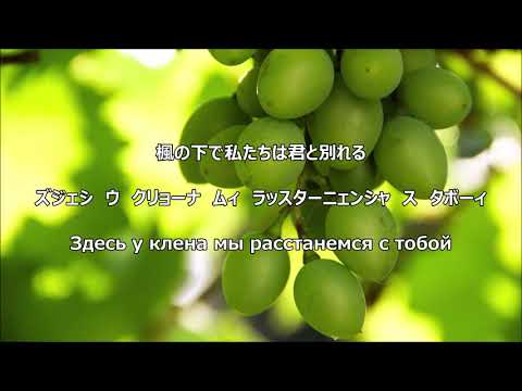 Видео: 【和訳付き】小麦色のモルドバ娘（ロシア民謡）"Смуглянка" - カタカナ読み付き