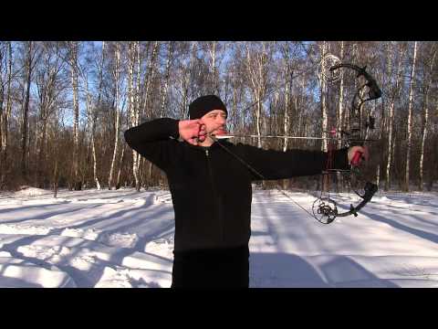 Видео: Блочный лук PSE Premonition HD