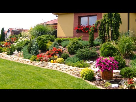 Видео: Красивый садовый участок Идеи для ландшафтного дизайна / Beautiful garden  Ideas for landscaping