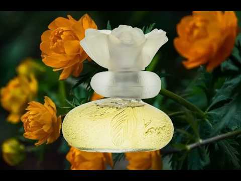 Видео: Kenzo Le Monde Est Beau #kenzo #kenzolemondeestbeau #кензо #кензожизньпрекрасна @ZhanetaSypryneta