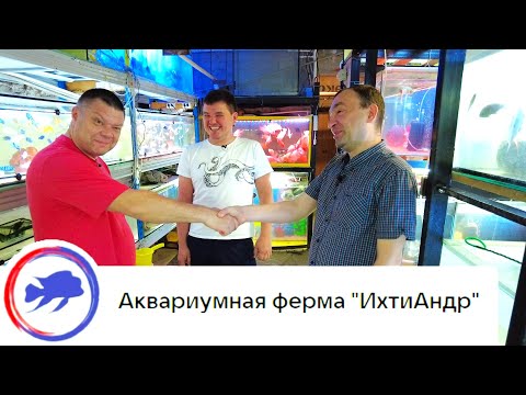 Видео: Аквариумная ферма ИхтиАндр г.Ростов-на-Дону