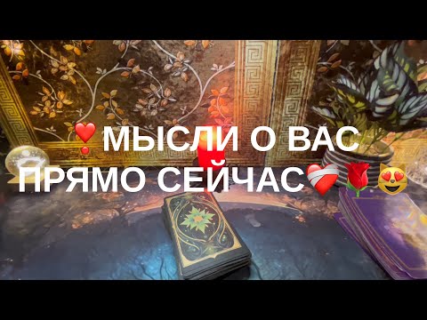 Видео: 8 ноября 2025 г.