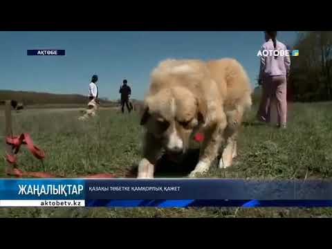 Видео: 24 августа 2024 г.