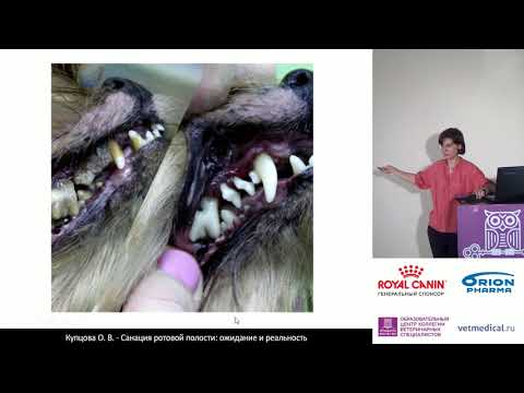 Видео: Купцова О. В. - санация ротовой полости ожидание и реальность