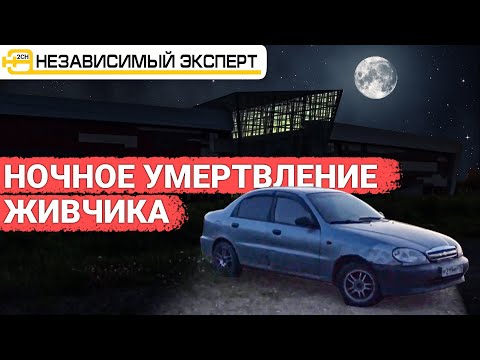 Видео: Ночное умертвение живчика!