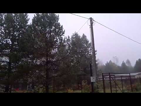 Видео: 🍃Туманное утро на даче🍂Осенний лес🍁