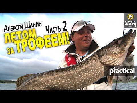 Видео: Летом за трофеем! Часть 2. Ловля щуки на Волге. Алексей Шанин. Anglers Practical
