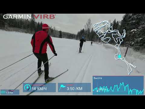 Видео: Лыжная прогулка в ГАБО 20 января 2024 года