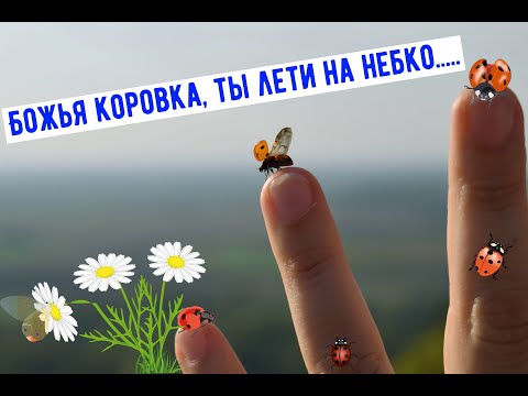 Видео: Лепим божью коровку.Полимерная глина. МК.
