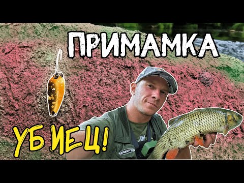 Видео: ЗАПОМНЯЩ СЕ РИБОЛОВ!! РИБОЛОВ НА КЕФАЛИ ПО РЕКА ЛУДА КАМЧИЯ.