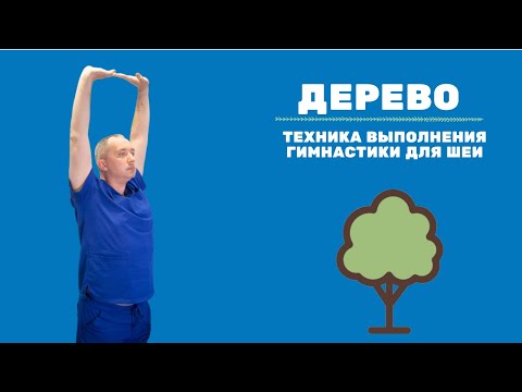 Видео: Упражнение "Дерево". Техника выполнения Гимнастики для шеи Доктора Шишонина