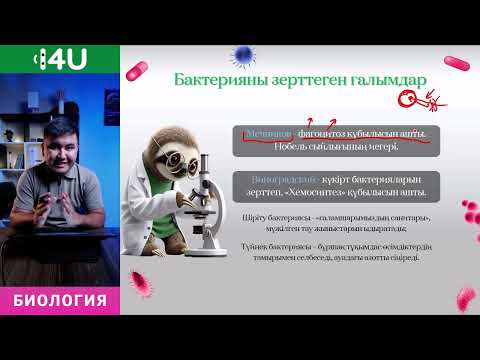 Видео: Биология ҰБТ | 2  сабақ - Бактериялар 1 бөлімі