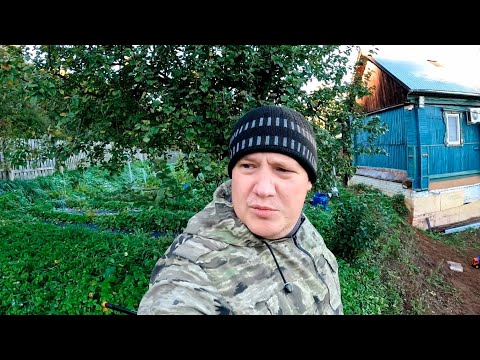 Видео: Благоустройство участка, готовимся к зиме