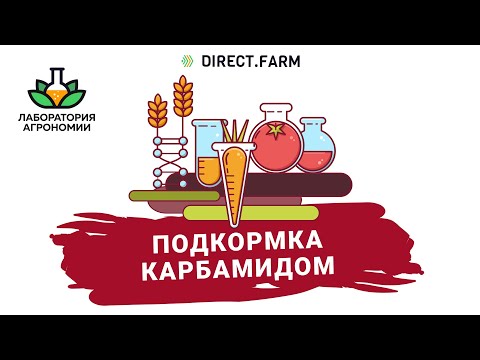 Видео: Карбамид - внекорневая подкормка