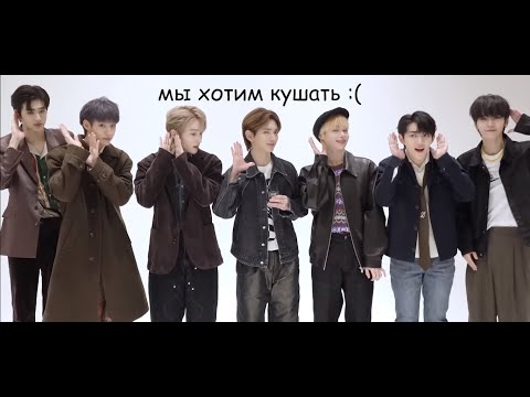 Видео: Темпест пытаются вспомнить как их зовут на протяжении 7 минут 41 секунде