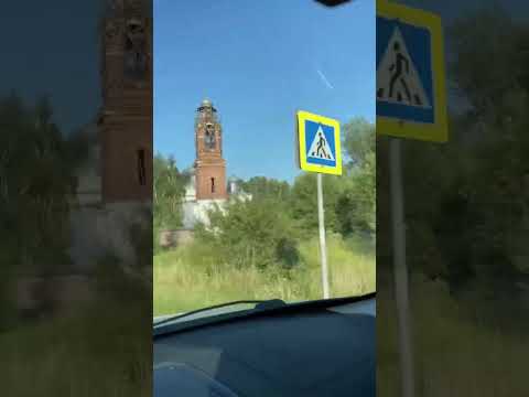 Видео: Собачки Барни и Беня переезжают (часть 3) #собака #собачки #щенки #щенок #dogs #puppy #милота #pets