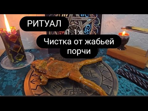 Видео: Ритуал - чистка от жабьей порчи.#ритуал #чистка #жабьяпорча  #болотнаяпорча #ритуалонлайн