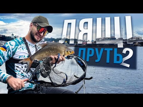 Видео: ЛЯЩІ та СОМИ на ЕКСТРИМАЛЬНІЙ ГЛИБИНІ ‼️ Хащі Труханового острову 💦😳