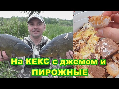 Видео: 💥Пришли трофейные ЛИНИ в 1,5 кг.💥 А от большого ЛЕЩА нет ОТБОЯ.🔥🔥🔥 Рыбалка на ДОНКИ.🔥🔥🔥