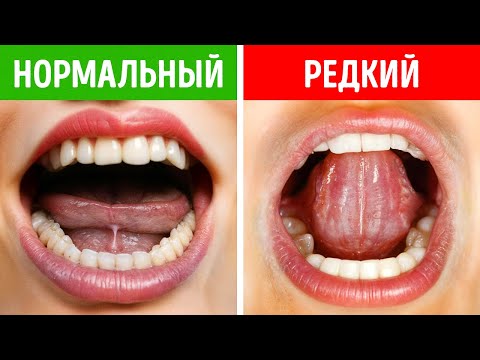 Видео: 200+ фактов обо всём на свете, которые не дадут вам скучать