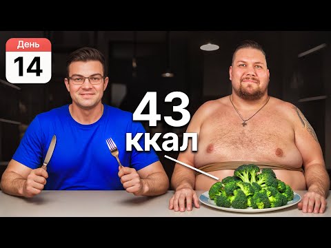 Видео: Учу НЕЗНАКОМЦА правильно есть, чтобы он похудел!