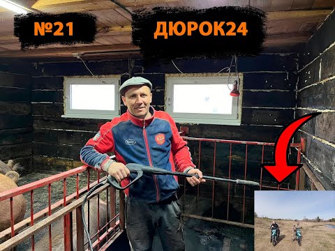 Видео: №21К НАМ НА ХОЗЯЙСТВО ПРИЕХАЛ ХРЯЧЕК,ПОРОДЫ ТЕМПО!!! ДЕЗИНФЕКЦИЯ КЛЕТОК ДЛЯ ПОРОСЯТ(СВИНЕЙ)!!!