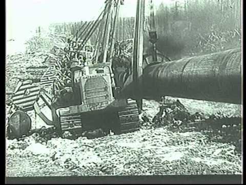 Видео: Тепло севера часть 2