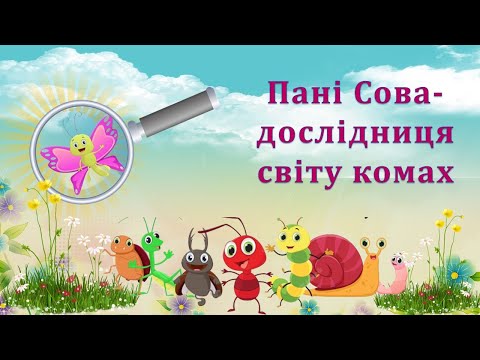 Видео: Пані Сова - дослідниця світу комах. Логіко-математичний розвиток старша група ЗДО