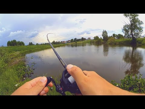 Видео: Реально кидает под ноги? SHIMANO Scorpion DC - кастинг в руках новичка!