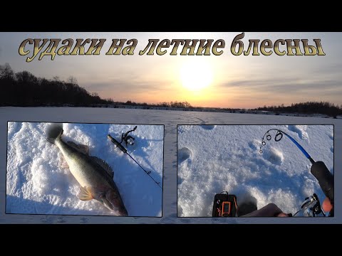 Видео: Крупные СУДАКИ, со льда, НА ЛЕТНИЕ БЛЕСНЫ! Рыбалка с эхолотом - практик 6м! Побил рекорд по судаку!