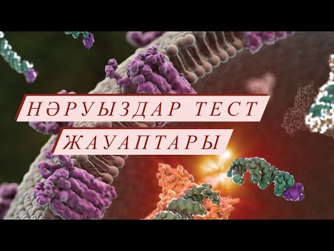 Видео: Нәруыздар тест жауаптары