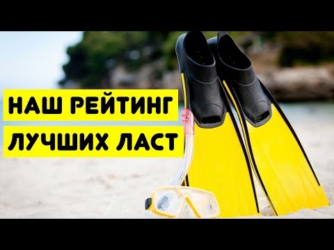 Видео: Наш рейтинг лучших ласт для дайвинга и снорклинга