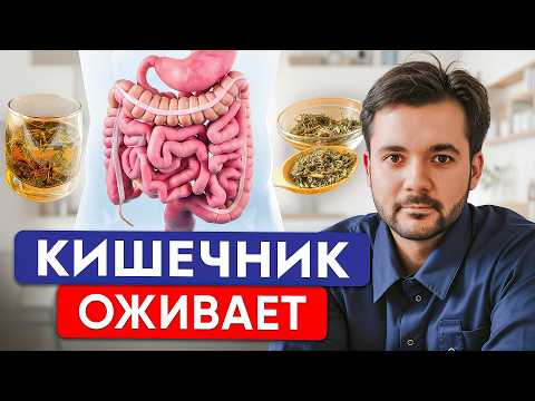 Видео: ЭТО НЕВЕРОЯТНО! Всего 1 ЛОЖКА в День и ЗАПОРЫ Как Рукой Сняло!