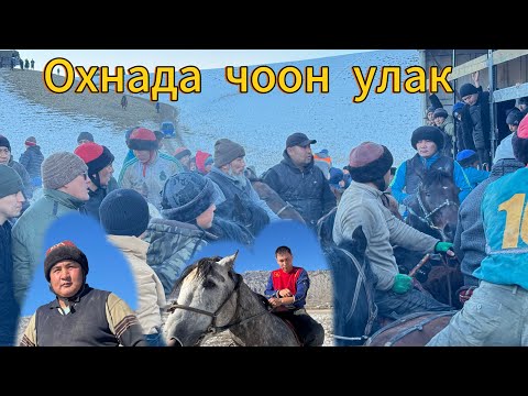 Видео: Мындай улак Боло элек Кадамжай охна