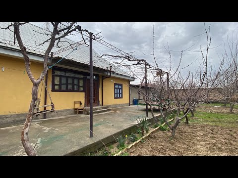 Видео: ХОНОДОНИ ФРУШИ 8 сотик ХАММА ШАРОИТ ДОРА ТУРСУНЗОДА КАМБАР 14 МАРТ 2022